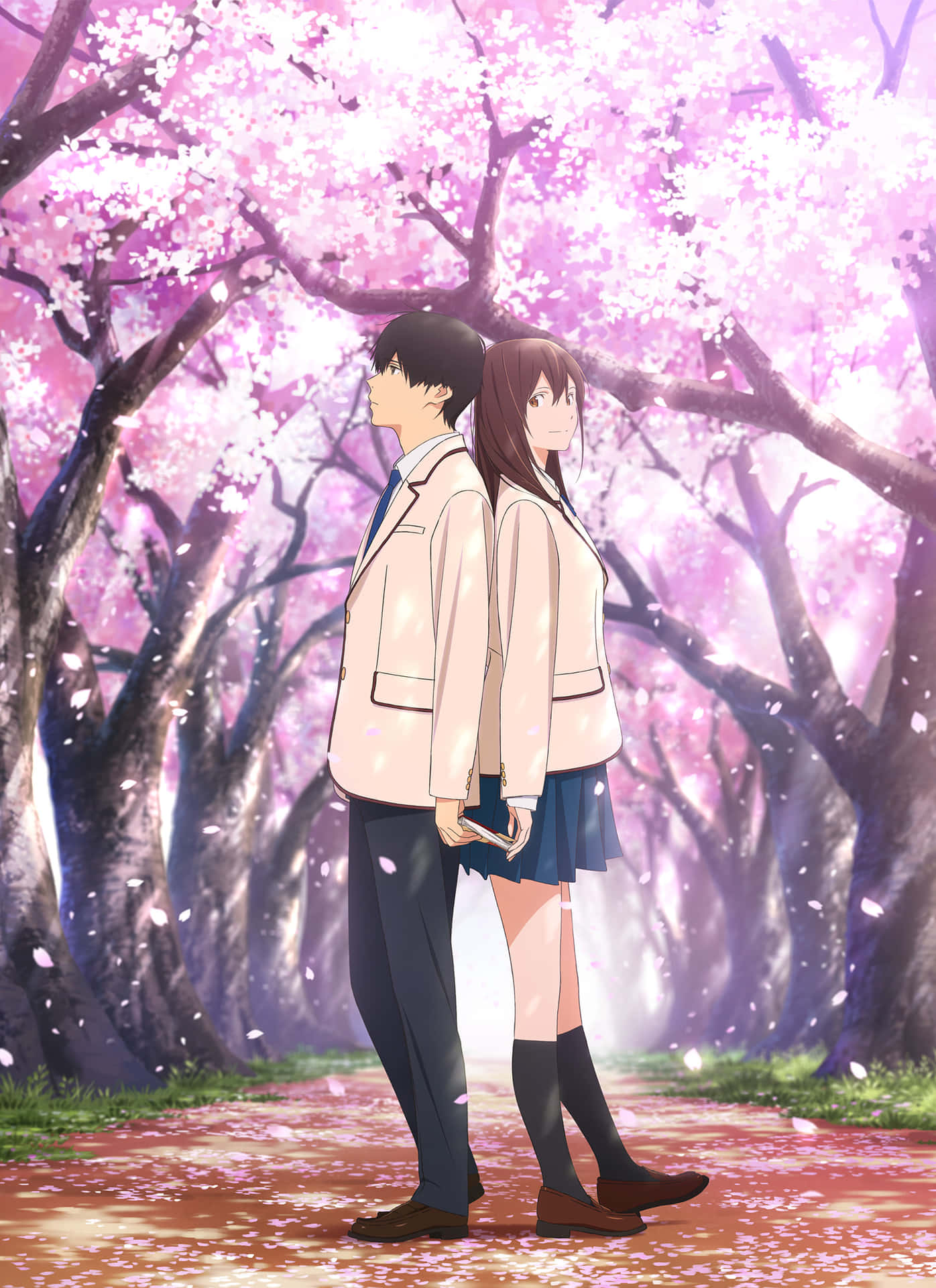 I Want To Eat Your Pancreas Harki And Sakura Anime Wallpaper — Two anime teens in school uniforms stand back-to-back under a canopy of blooming pink cherry blossoms with petals drifting down.
